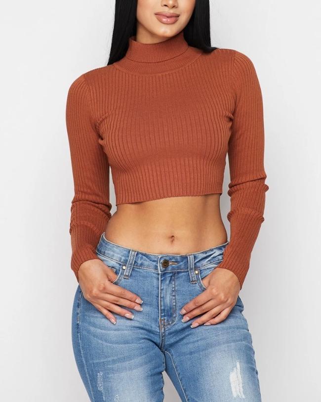 It's A Vibe Turtleneck Crop Top - SKYE KIYOMI BEAUTY, LLC#tops#bottoms#ootd#affordablefashion#affordablestyle#boutiqueshopping#sets#shortsets#pantsets#outerwear