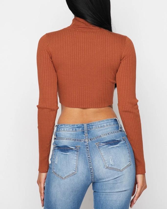 It's A Vibe Turtleneck Crop Top - SKYE KIYOMI BEAUTY, LLC#tops#bottoms#ootd#affordablefashion#affordablestyle#boutiqueshopping#sets#shortsets#pantsets#outerwear